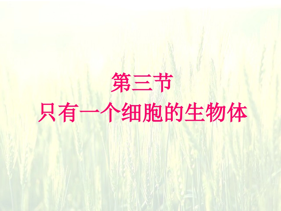 《只有一个细胞的生物体》_第1页