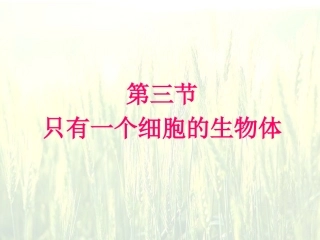 《只有一个细胞的生物体》