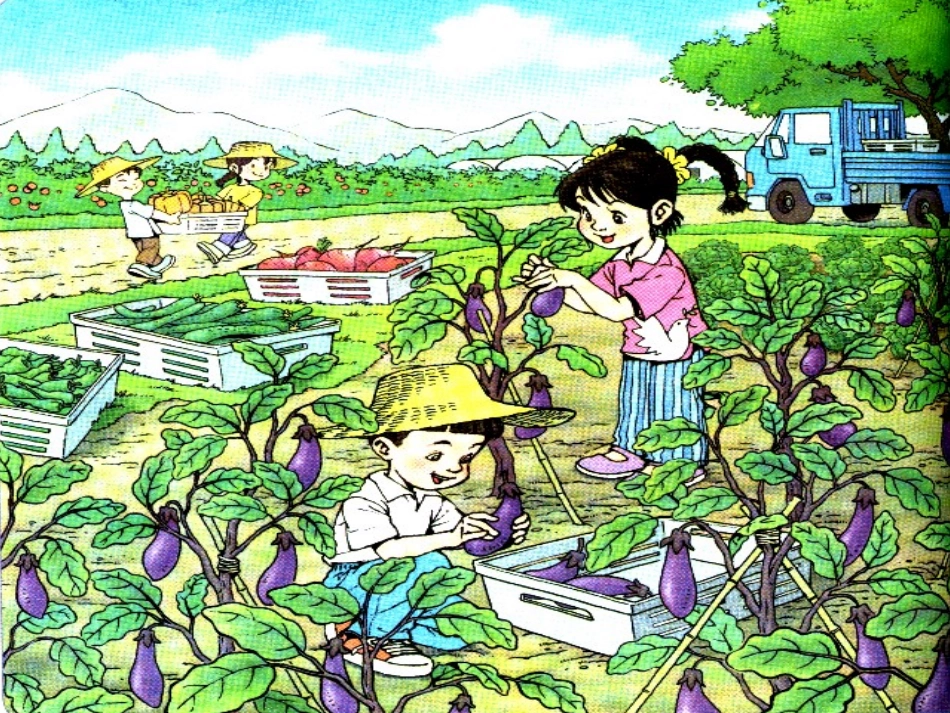 《菜园里》课件_第2页