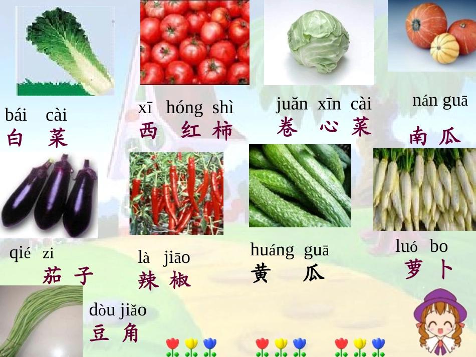 《菜园里》课件_第3页