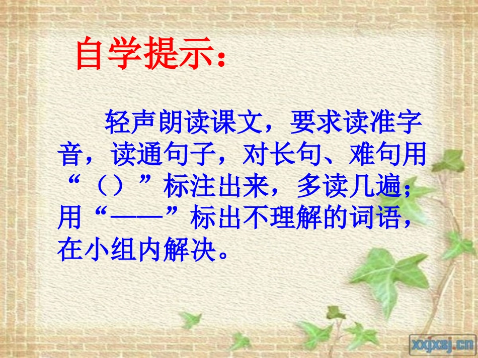 《跨越百年的美丽》梁建芳_第3页