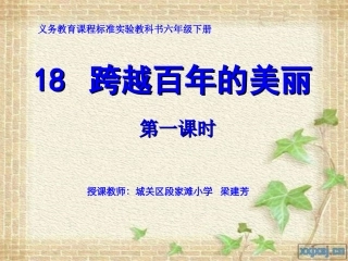 《跨越百年的美丽》梁建芳