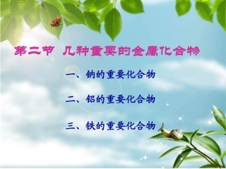 几种重要的金属化合物第一课时