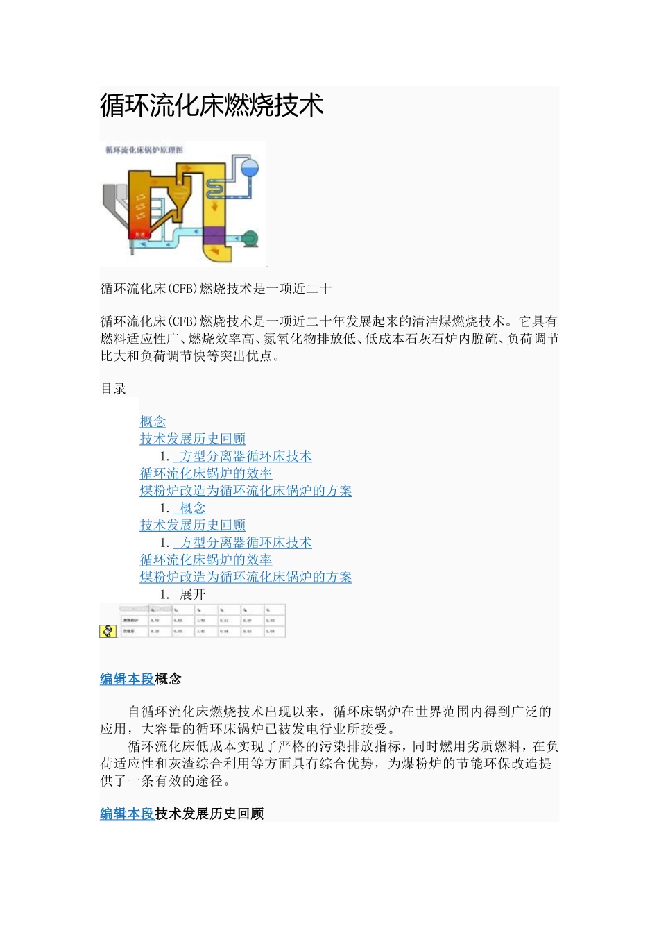 循环流化床燃烧技术_第1页