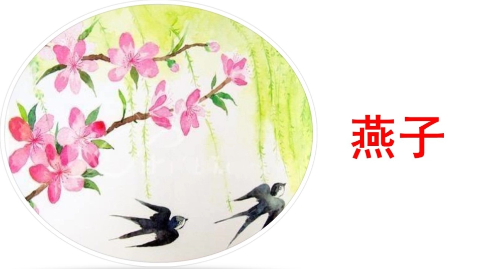 《燕子》第一课时课件 (2)_第3页