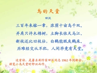 四年级语文上册《鸟的天堂》PPT课件