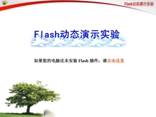 实验6观察叶片的结构