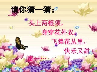 小学二年级美术课件《彩蝶》