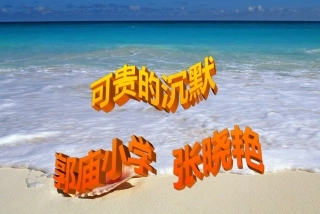 《可贵的沉默》张晓艳