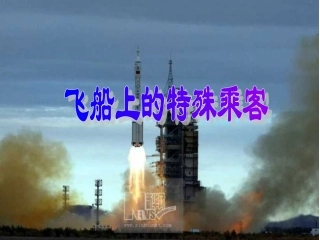 飞船上的特殊乘客阜北小学张文娟