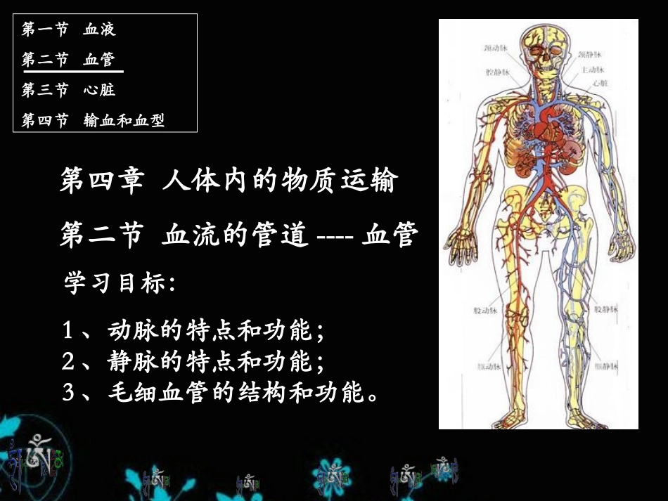 血流的管道血管人教版七年级下册生物课件_第1页