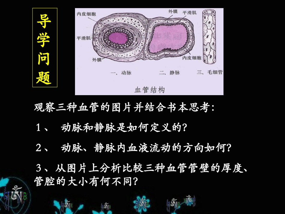 血流的管道血管人教版七年级下册生物课件_第2页