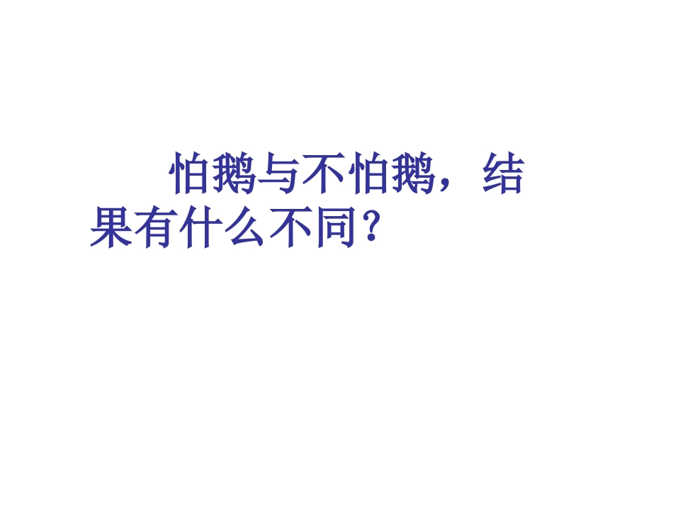 新牛和鹅课件_第2页