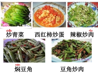 菜园里PPT课件
