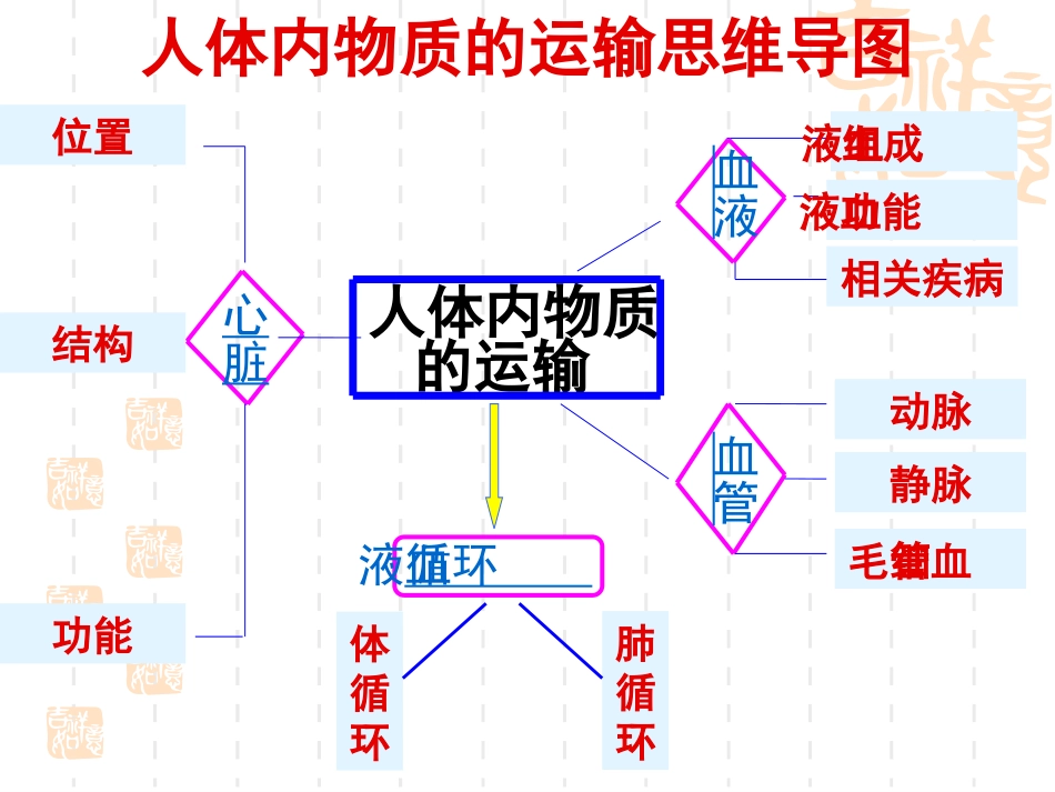 血液循环系统_第2页
