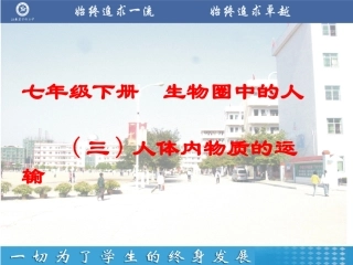 血液循环系统