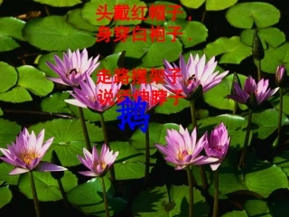 小学音乐-_咏鹅