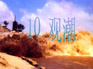 观潮 (3)