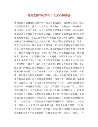 电力支部书记学习十七大心得体会 