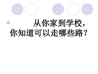 通往广场的路不止一条PPT课件