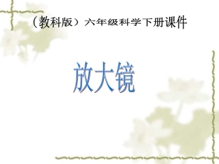 六年级科学下册《放大镜》PPT课件之二（教科版）（杨明）