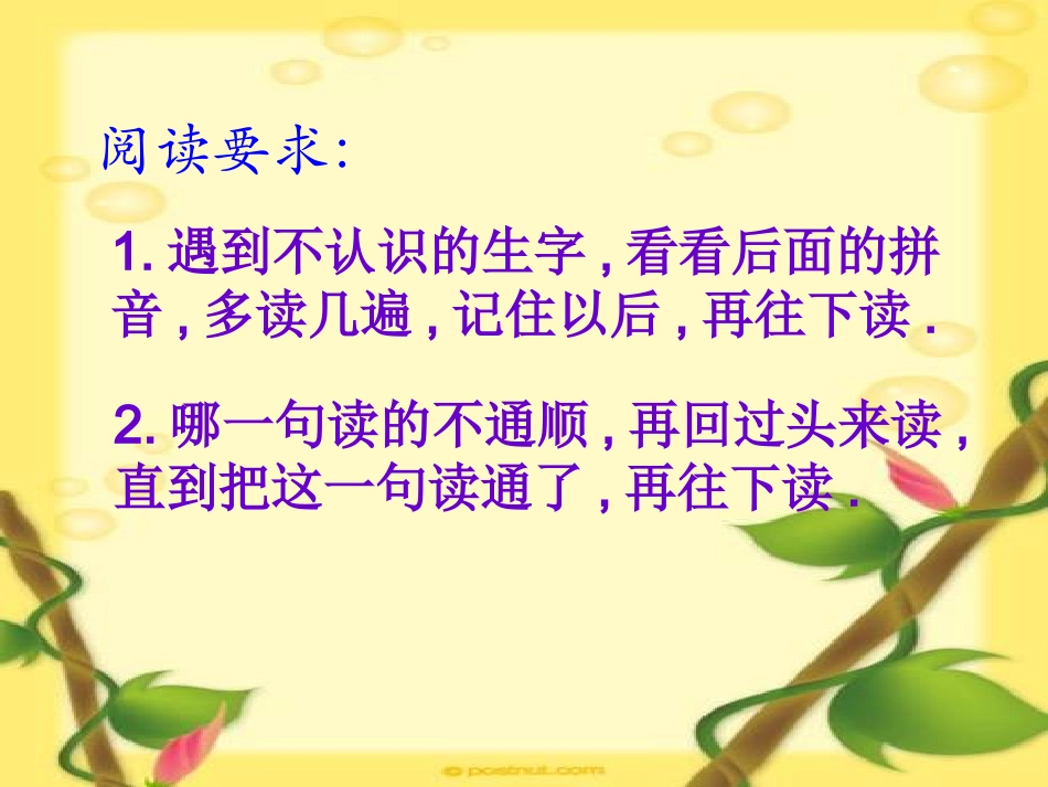 《沙漠之舟》课件_第2页