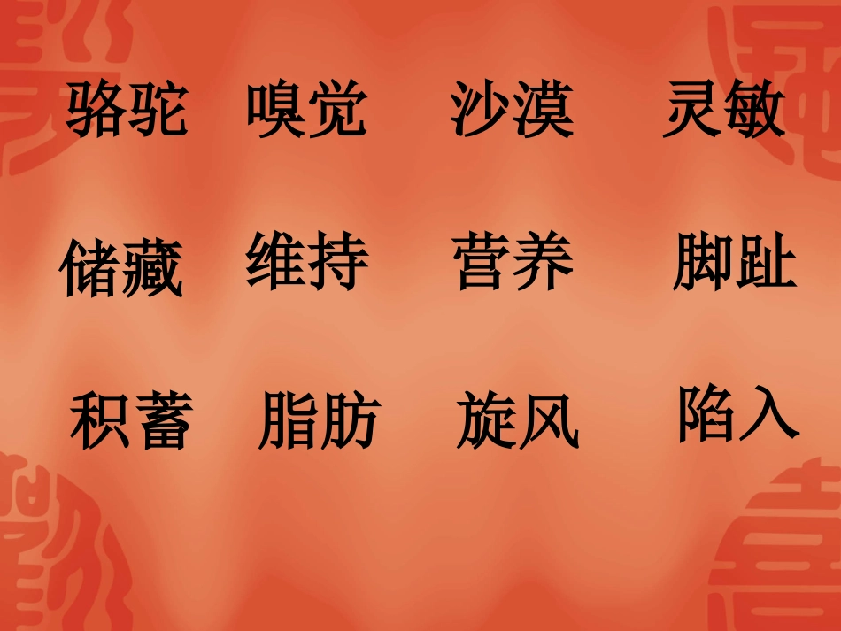 《沙漠之舟》课件_第3页