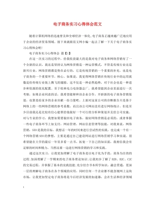 电子商务实习心得体会范文 