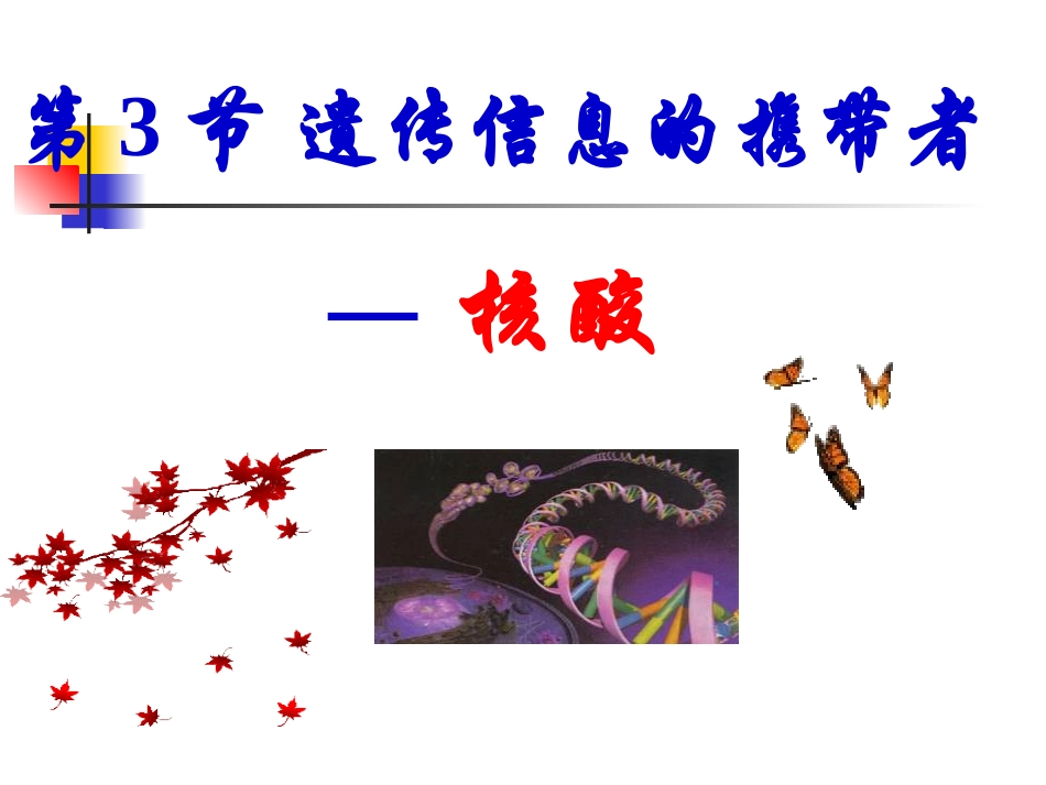 遗传信息携带者核酸课件新人教版必修_第1页