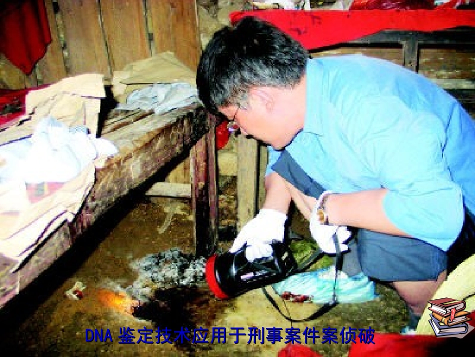 遗传信息携带者核酸课件新人教版必修_第3页