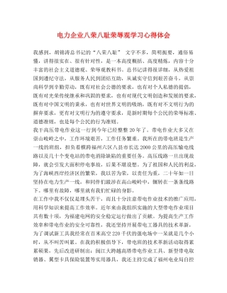电力企业八荣八耻荣辱观学习心得体会 