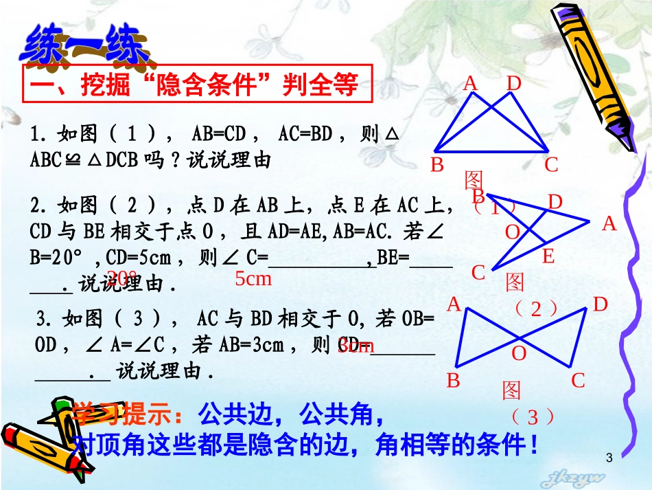 八年级数学全等三角形复习课件(高效)__第3页