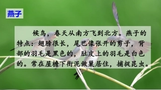 燕子（第一课时）课件ppt