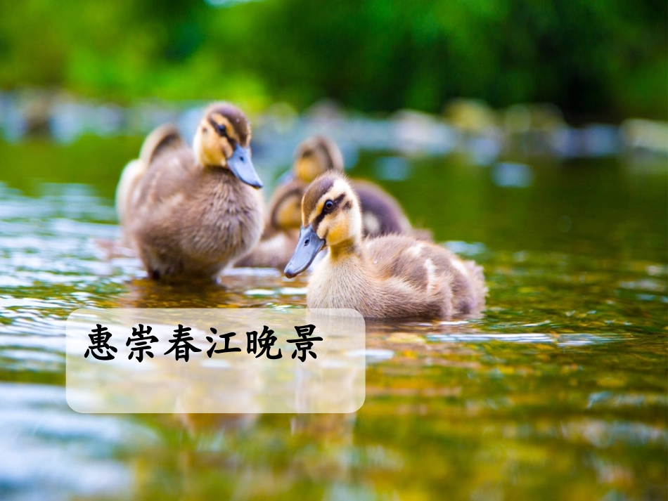 古诗《惠崇春江晚景》课件_第1页