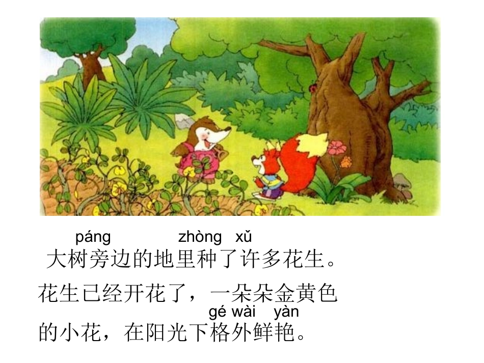 小松鼠找花生课件_第2页