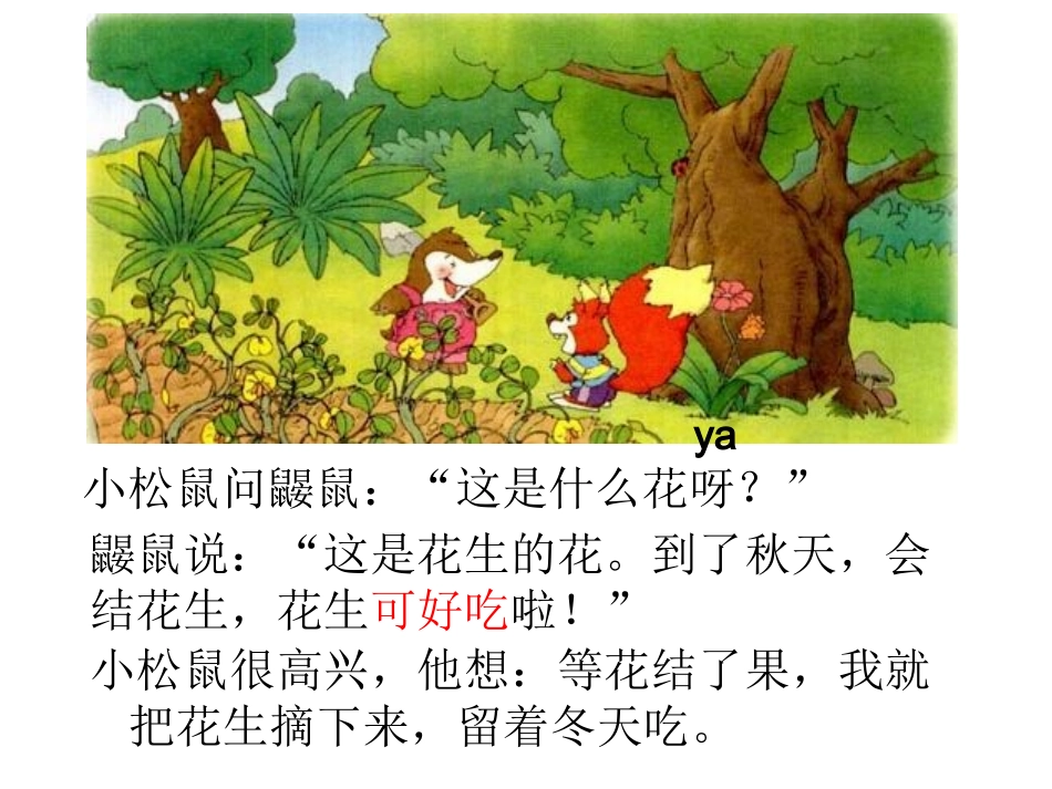 小松鼠找花生课件_第3页