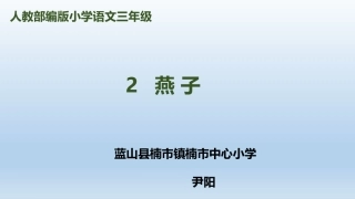 燕子教学ppt课件