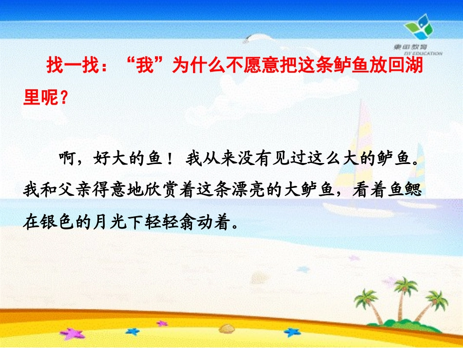 钓鱼的启示课件_第3页