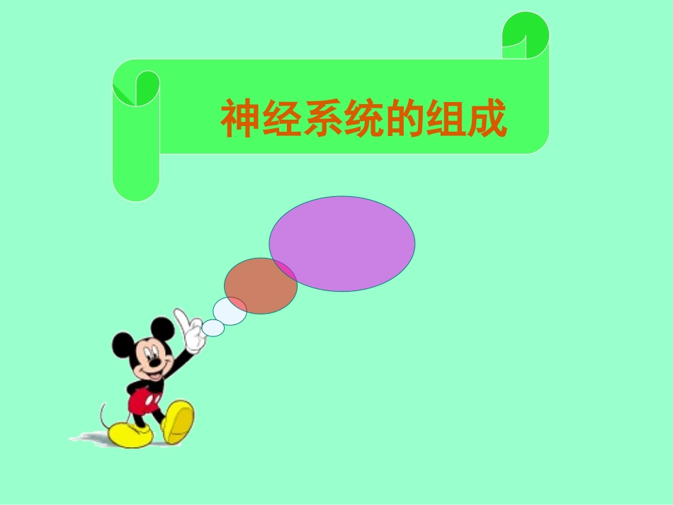 神经系统的组成_第1页
