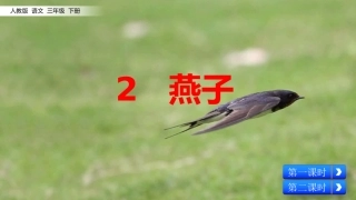 燕子一课的课件
