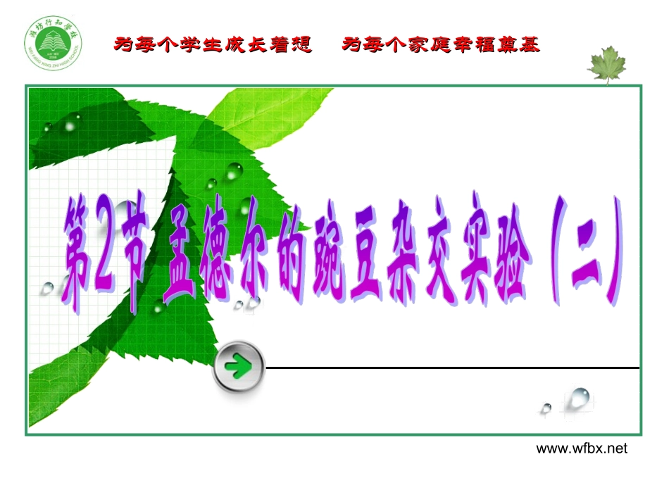 孟德尔的豌豆杂交实验二_第2页