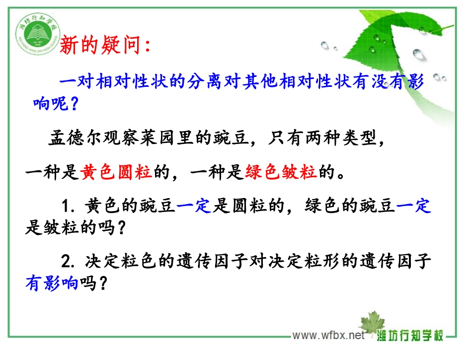 孟德尔的豌豆杂交实验二_第3页