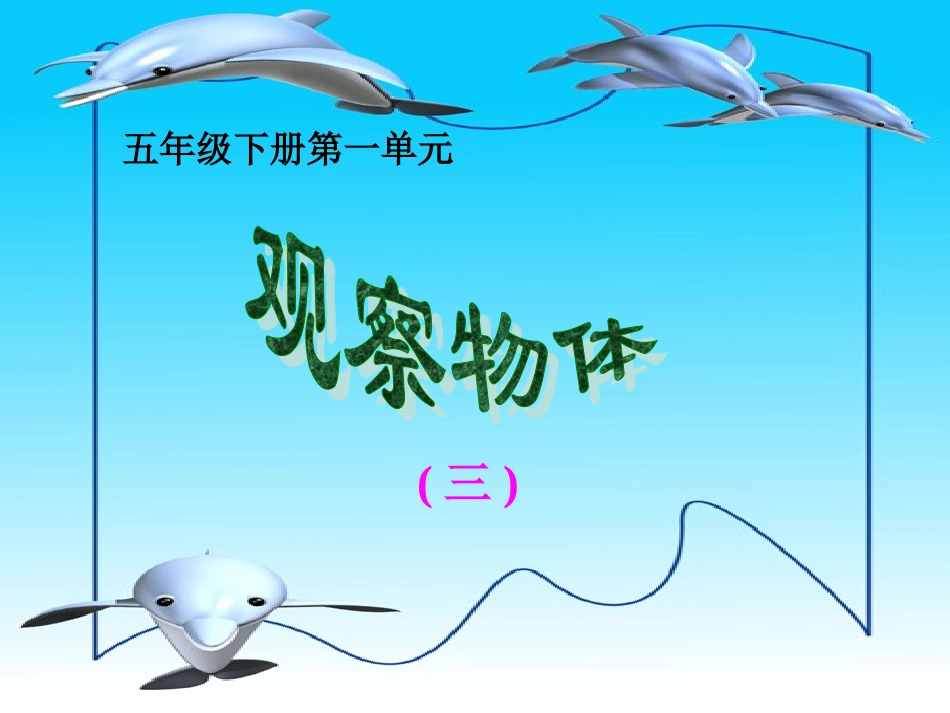 观察物体(三)_第1页