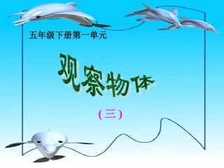 观察物体(三)