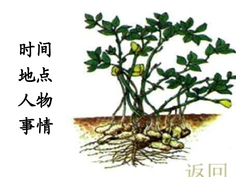 落花生 (3)_第3页