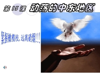 历史：《第13课动荡的中东地区》课件(人教版九年级下)