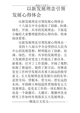 以新发展理念引领发展心得体会