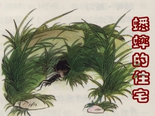 《蟋蟀的住宅》课堂演示课件 (2)