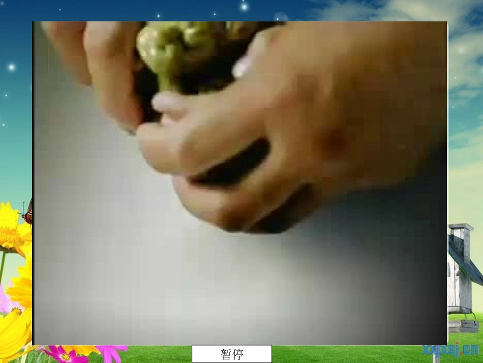 《遨游汉字王国》课件_第1页