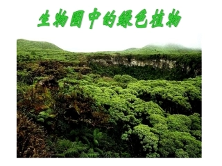 生物：第1章第1节藻类_蕨苔藓植物课件(人教版七年级上)